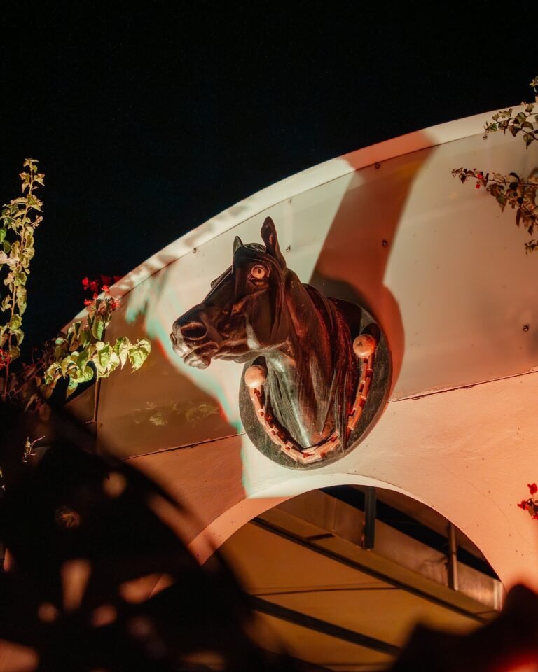 Maria Rosa & Pierre — mariage au PGH Polo Club, Assilah (photo 16)