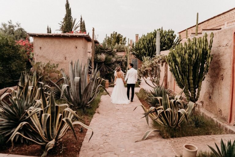 Jeanne and Billy wedding at Beldi Country Club Marrakech (photo 1)