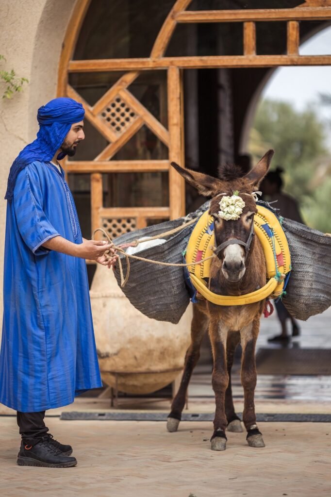 Jonny and Cameron wedding at Kasbah d’If Agafay Desert (photo 22)