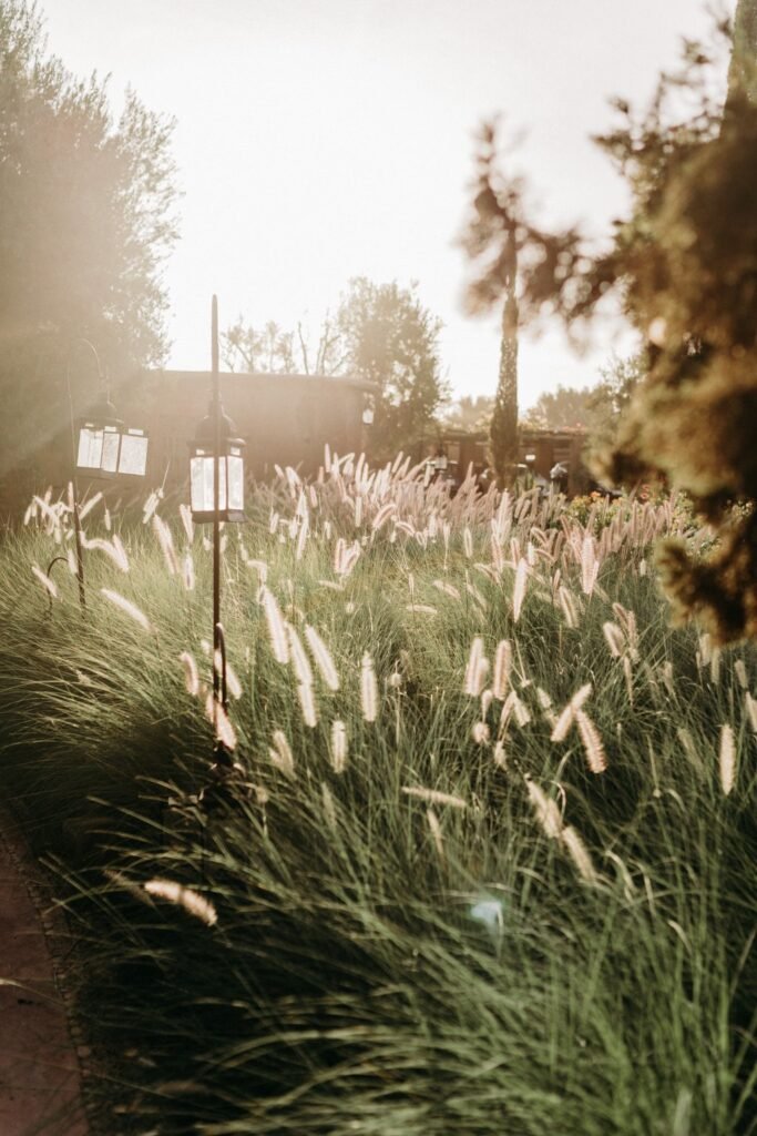 Jeanne and Billy wedding at Beldi Country Club Marrakech (photo 10)