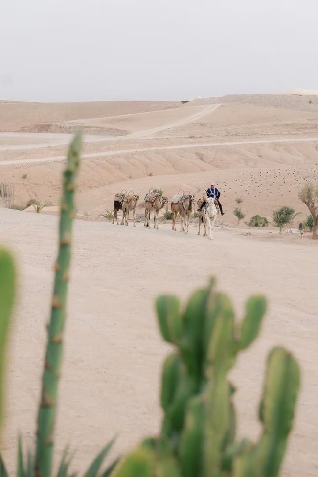 Rhea & Siva — Ksar Char Bagh Marrakech