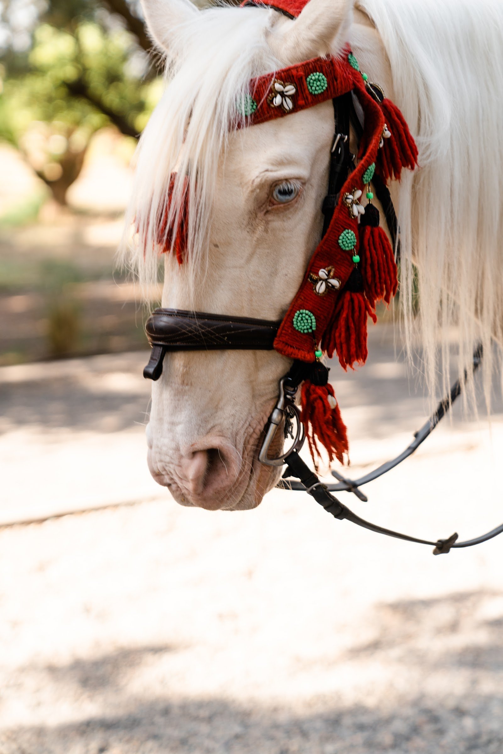 Rusna & Stel — The Oberoi Marrakech